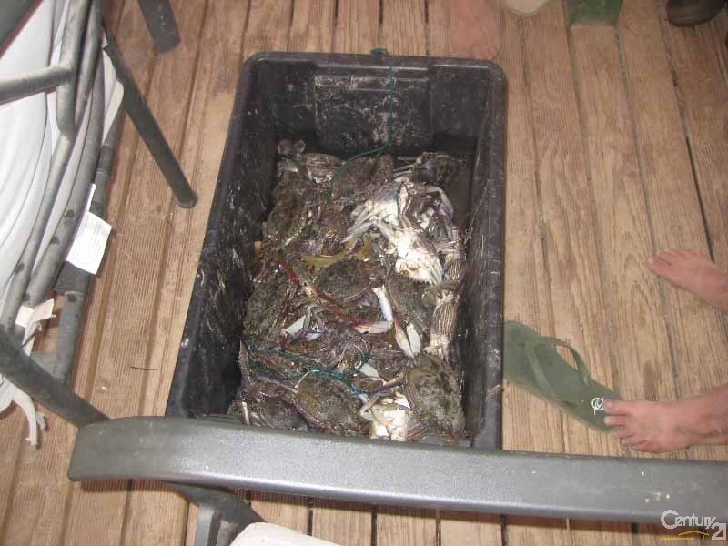 507 Coast Road, Tickera SA 5555