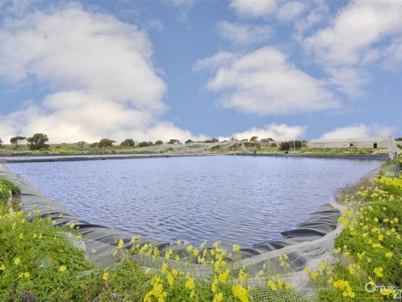 507 Coast Road, Tickera SA 5555