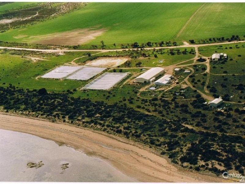 507 Coast Road, Tickera SA 5555