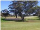 17 Bay Road, Moonta SA 5558