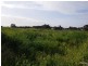 Lot 15 Hills Road, Moonta SA 5558