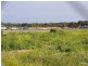Lot 15 Hills Road, Moonta SA 5558