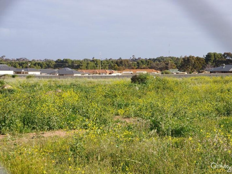 Lot 15 Hills Road, Moonta SA 5558
