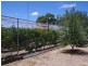 8 Kitto Road, Moonta Bay SA 5558