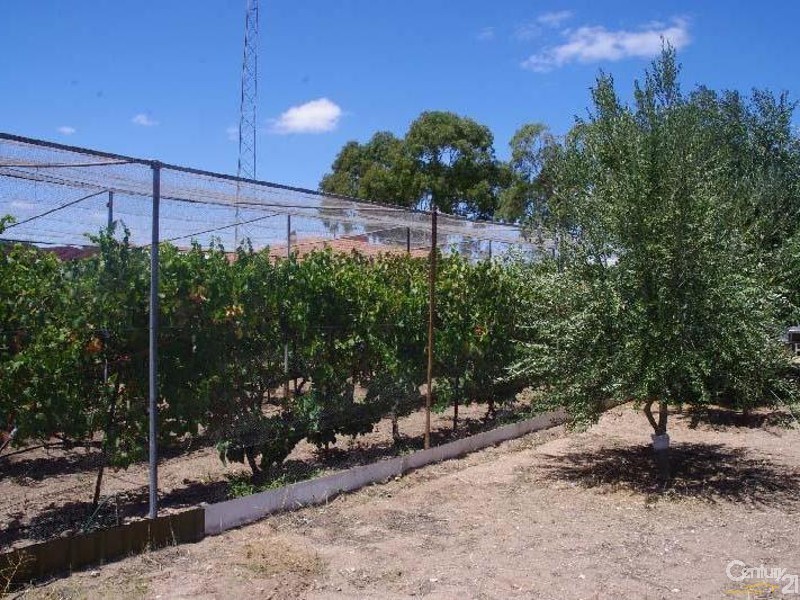 8 Kitto Road, Moonta Bay SA 5558