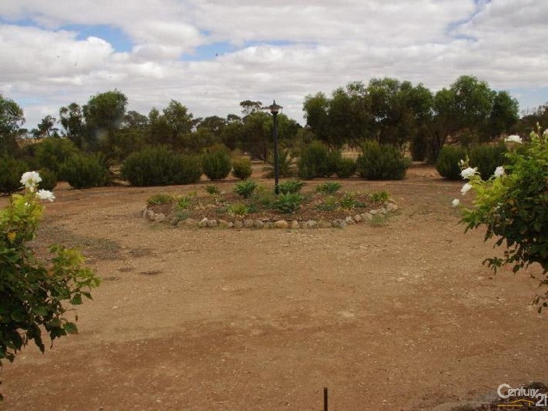 307 Bute Road, Kadina SA 5554