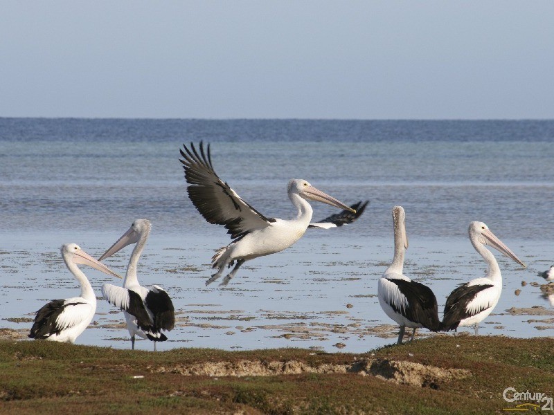 2 Hughes Avenue, Moonta Bay SA 5558