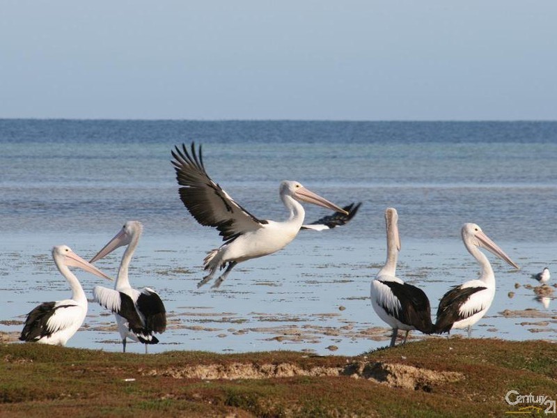Lot 98 Old Horse Tramway Court, Moonta Bay SA 5558