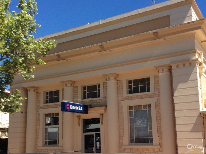 22 Robert Street, Maitland SA 5573