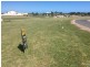 Lot 297 Ambrose Crescent, Port Hughes SA 5558