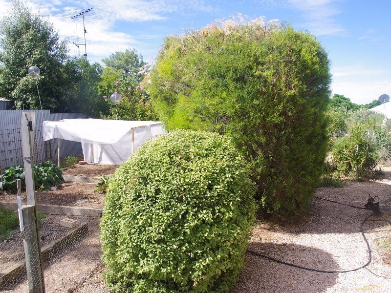 13 Harbison Street, Moonta Bay SA 5558