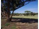 12 Diagonal Road, Ardrossan SA 5571