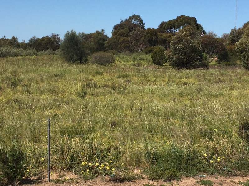 Lot 1  Copper Coast Highway, Wallaroo SA 5556