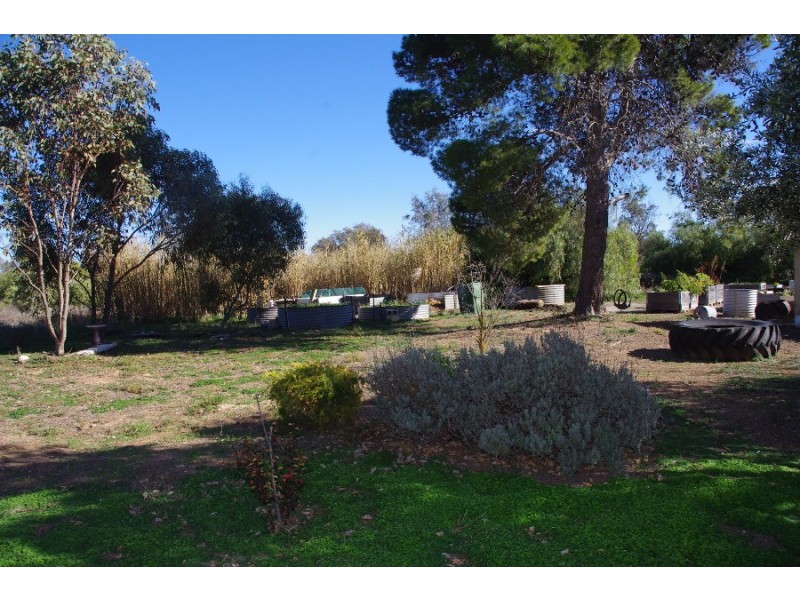 14 Harvey Street, Moonta Mines SA 5558