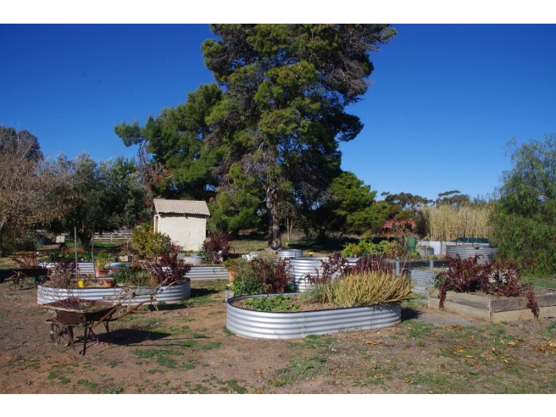 14 Harvey Street, Moonta Mines SA 5558