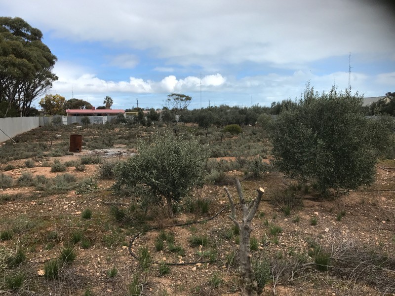46  North Terrace, Moonta Bay SA 5558