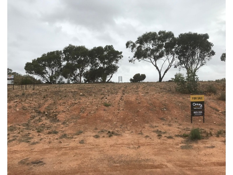 20 Falie Avenue, Wallaroo SA 5556