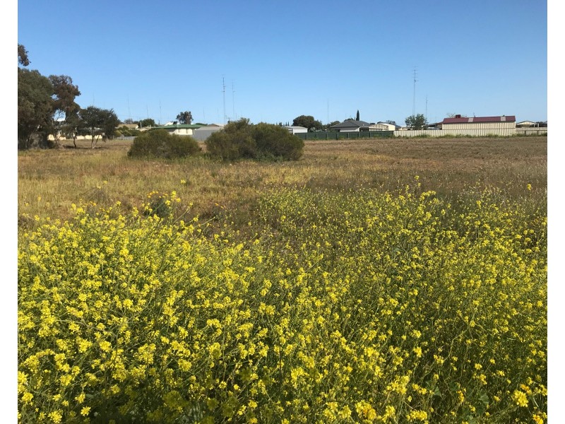 86 Moonta Road, Moonta Bay SA 5558