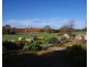 35 Searle Lane, Moonta Mines SA 5558