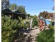 37 Osborn Lane, Moonta SA 5558
