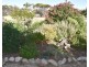 37 Osborn Lane, Moonta SA 5558