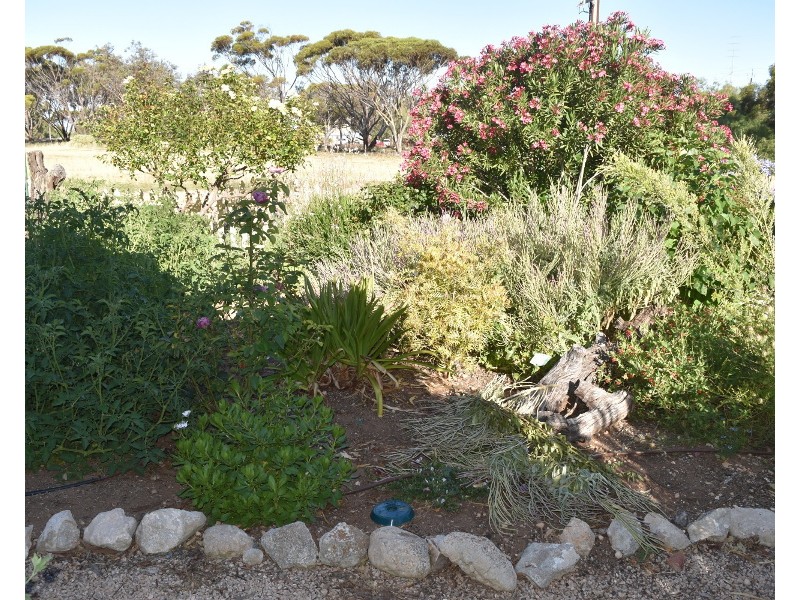 37 Osborn Lane, Moonta SA 5558