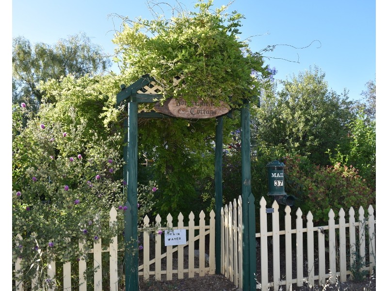 37 Osborn Lane, Moonta SA 5558