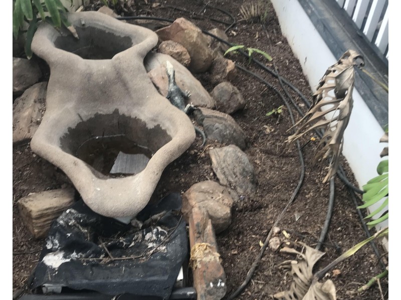 18 Trenerry Place, Port Hughes SA 5558