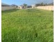 14  Freeman Court, Moonta Bay SA 5558