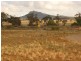 LOT 97 FREEBAIRN ROAD, Quorn SA 5433