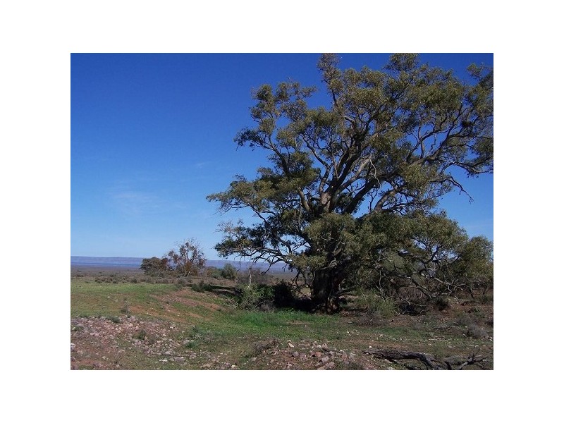 Stirling North SA 5710