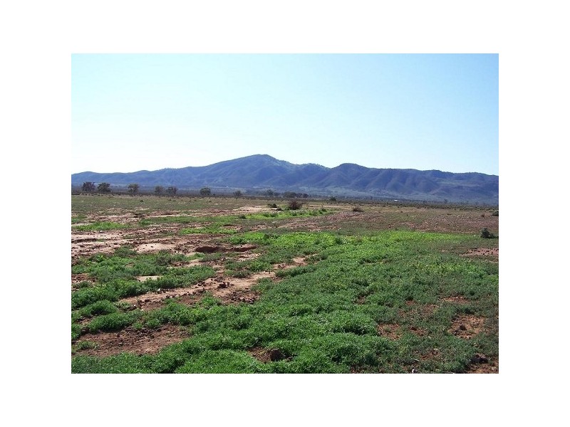 Stirling North SA 5710