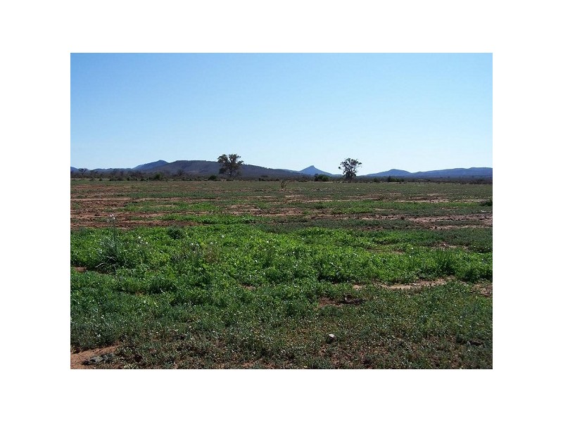 Stirling North SA 5710