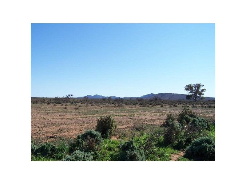 Stirling North SA 5710