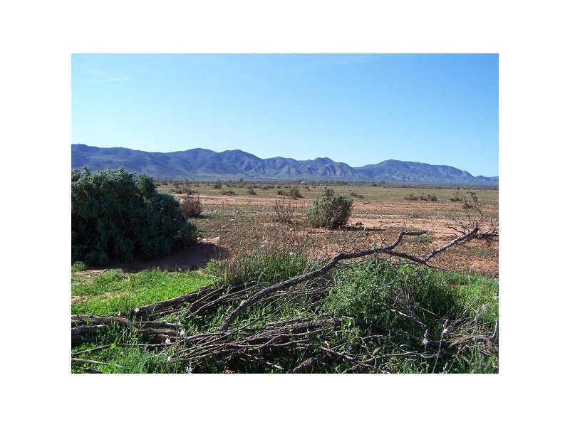 Stirling North SA 5710