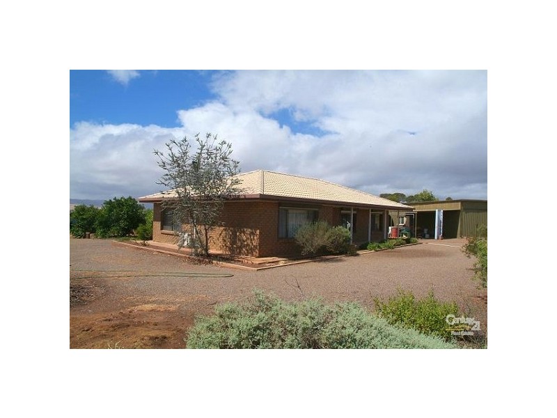 LOT 115 ALTMANN ROAD, Quorn SA 5433