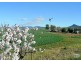 LOT 115 ALTMANN ROAD, Quorn SA 5433