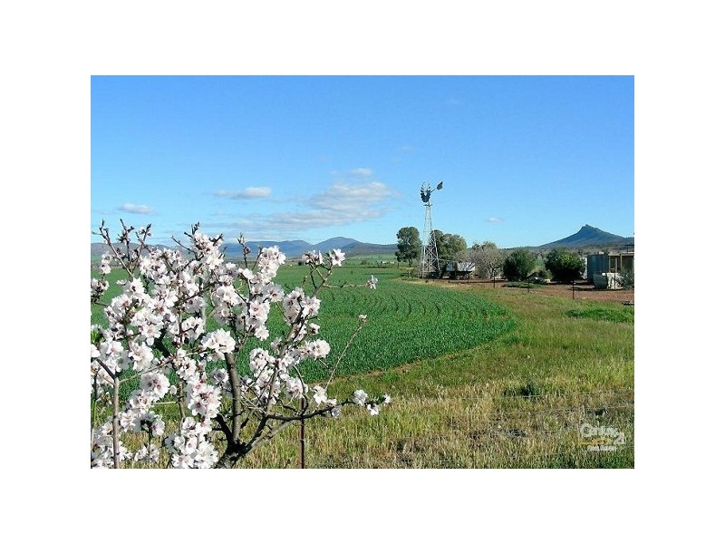 LOT 115 ALTMANN ROAD, Quorn SA 5433