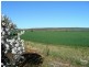 LOT 115 ALTMANN ROAD, Quorn SA 5433