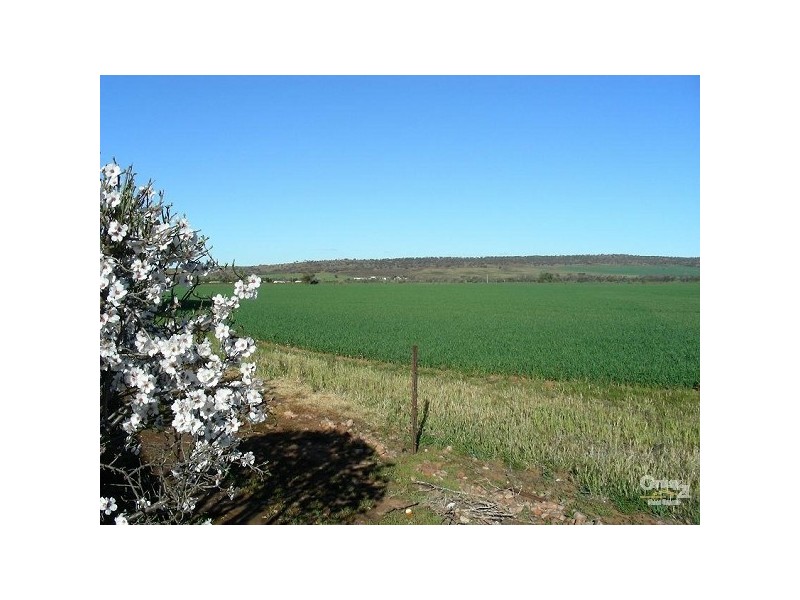 LOT 115 ALTMANN ROAD, Quorn SA 5433