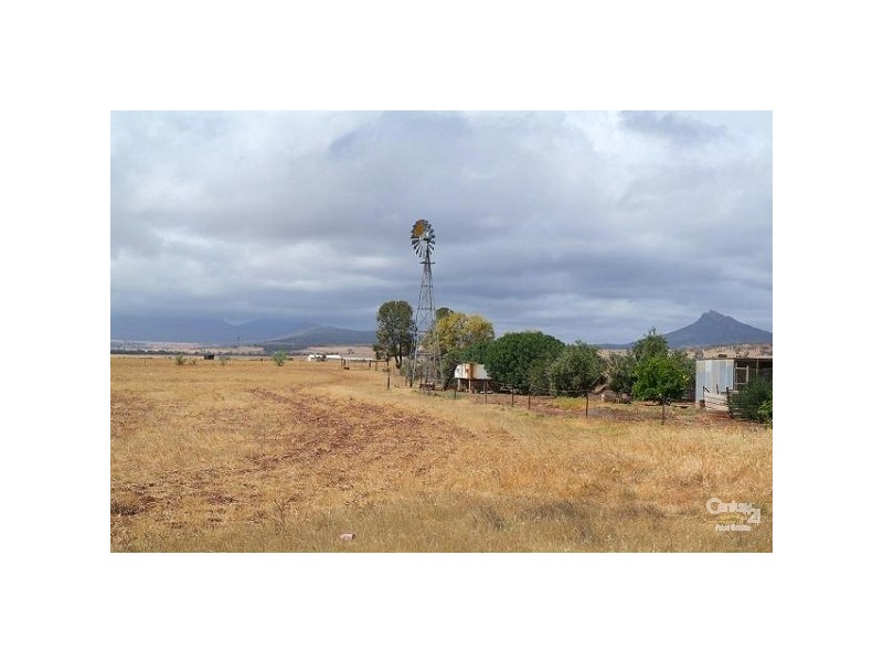 LOT 115 ALTMANN ROAD, Quorn SA 5433