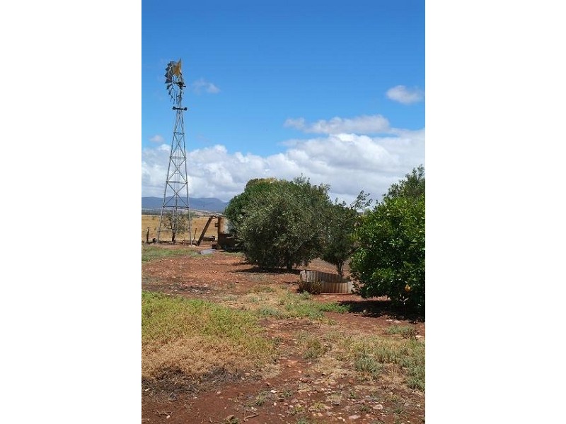 LOT 115 ALTMANN ROAD, Quorn SA 5433