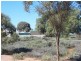 LOTS 32-35 PALTRIDGE AVENUE, Stirling North SA 5710