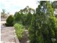16 WILLOUGHBY STREET, Stirling North SA 5710