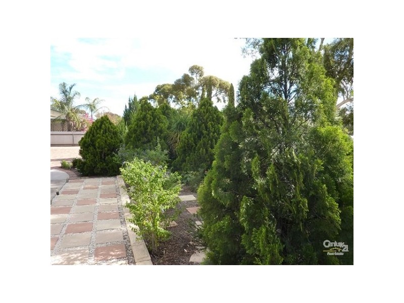 16 WILLOUGHBY STREET, Stirling North SA 5710