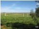 Lot 10 Scenic Drive, Napperby SA 5540