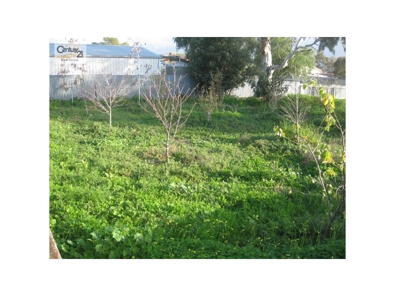 27 First Street, Napperby SA 5540