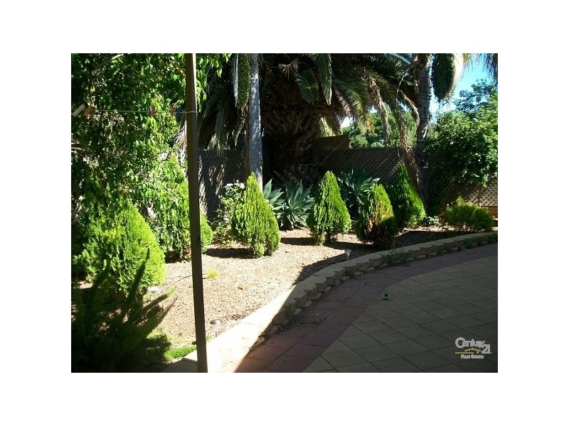 6 Ivey Street, Port Pirie SA 5540