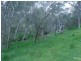 Section 137 Beetaloo Valley Road, Beetaloo SA 5523