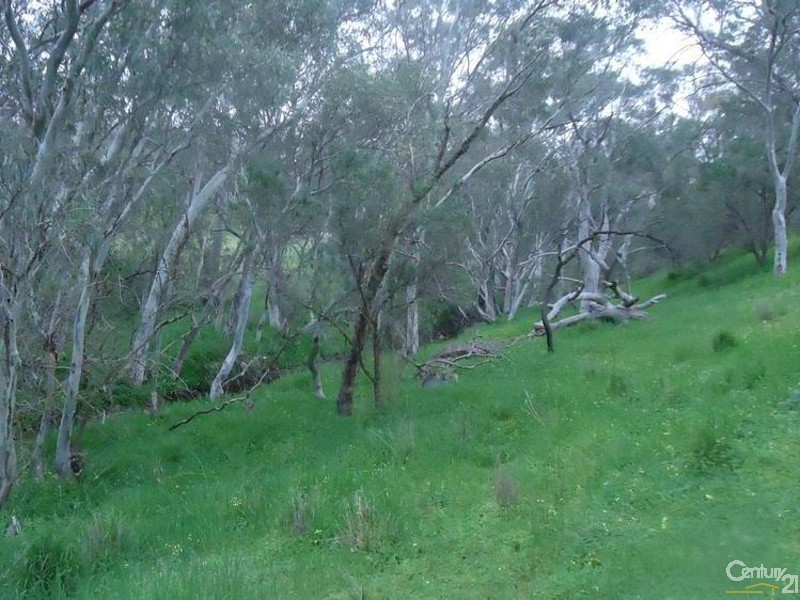 Section 137 Beetaloo Valley Road, Beetaloo SA 5523